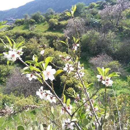 Chalet Ruta San Roque And Pool Balcon de Telde